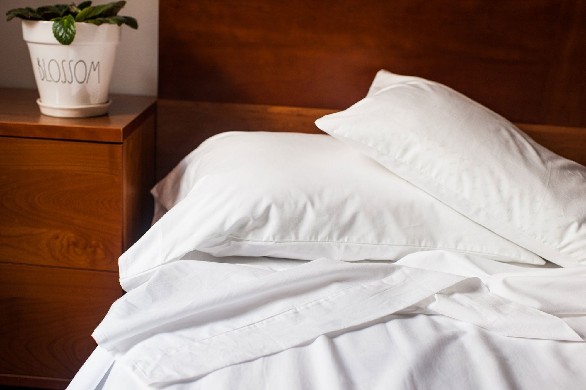 American Made Cotton Fitted Bed Sheet